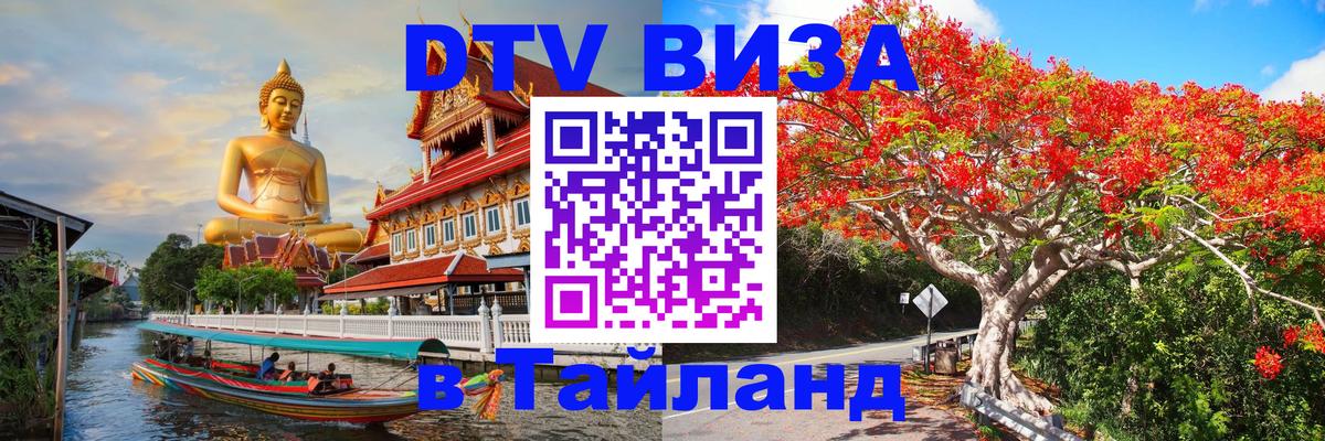 Сколько стоит DTV виза — актуальные цены, оформление даже без документов - Ногинск 